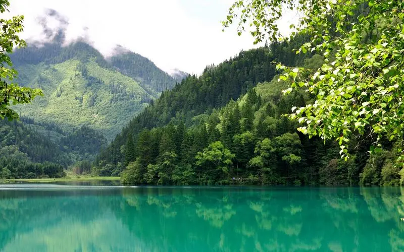高精度高端
